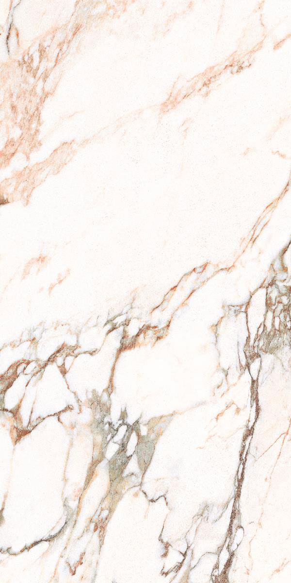 RAMATE MULTY P2